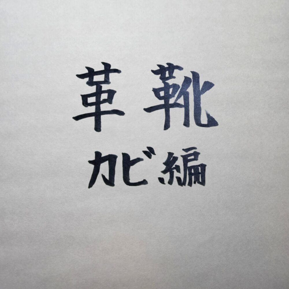 革靴の管理を怠ってカビが生えた失敗談｜原因・落とし方・防止法