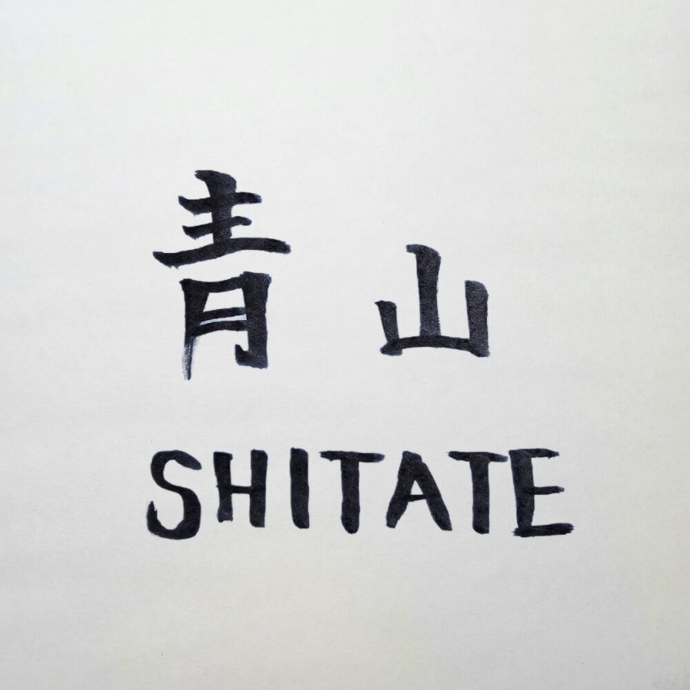 青山のSHITATEは日常の勝負で強い“味方”になる：青山オーダーを武器に変える発想