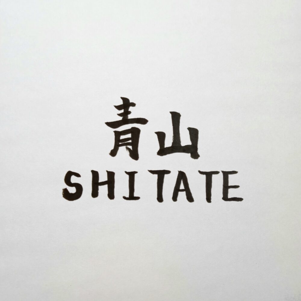 青山オーダースーツSHITATEの評判と本当の実力｜実際に利用したから分かる強み